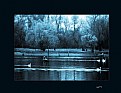 Picture Title - lake blues