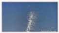 Picture Title - Seahorse Sprit Cloud