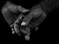 Picture Title -  Hands 6