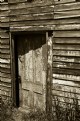 Picture Title - Toolshed Door