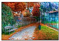 Picture Title - autumn avenue