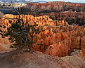 Picture Title - Bryce Canyon