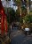 Walking past the Torii