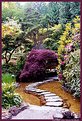 Picture Title - Japanese Garden IV