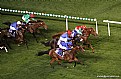 Picture Title - HORSE RACE