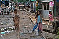 Picture Title - railway station, Phnom Penh, Cambodia