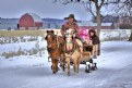 Picture Title - Sleigh Ride