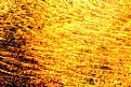 Picture Title - Shimmering Gold