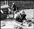 Picture Title - Livelihood