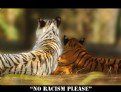 Picture Title - Against Racism