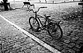 Picture Title - bici