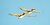 Pelicans in Tandem Flight