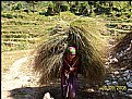 Picture Title - Sherpa Girl...