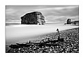 Picture Title - Driftwood at Marsden