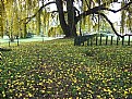 Picture Title - University of Peradeniya, Sri Lanka