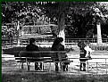 Picture Title - at the park..