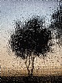 Picture Title - Rain