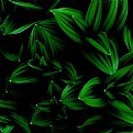 Picture Title - GReeN