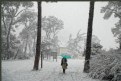 Picture Title - snowing on Barcelona.2