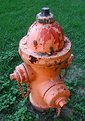 Picture Title - fire hydrant