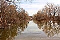 Picture Title - " Sandy Creek Fish Jump Out On Bank "