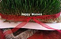 Picture Title - Happy Norooz