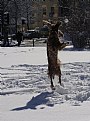 Picture Title - Catch the snowball!