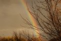 Picture Title - rainbow