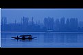 Picture Title - Blue morning on the lake