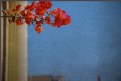 Picture Title - beautiful day