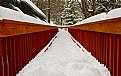 Picture Title - snow, lines, and snow. 