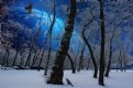 Picture Title - winter in space -graphic