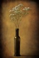 Picture Title - The olive oil bottle