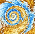 Picture Title - Concentric by Nature