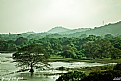 Picture Title - Kandalama Lake