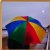 Umbrella