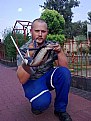 Picture Title - Indo-Chinese spitting cobra