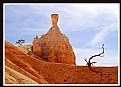 Picture Title - A budda in Bryce