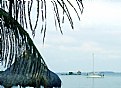 Picture Title - Little Island & Sailboat