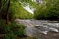 Picture Title - After the Rain - GSMNP