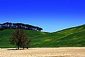 Picture Title - orcia