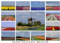 Picture Title - Holland
