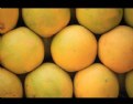 Picture Title - Honeycombed Oranges