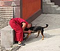 Picture Title - The Monk with his Dog