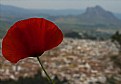 Picture Title - Antequera Dreaming