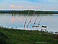 Picture Title - " Fishing Time ", By Barbara Kite