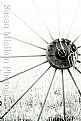 Picture Title - The Wheel