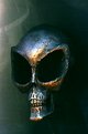 Picture Title - Alien Scull