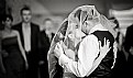 Picture Title - Wedding kiss