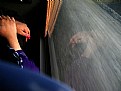 Picture Title - no title